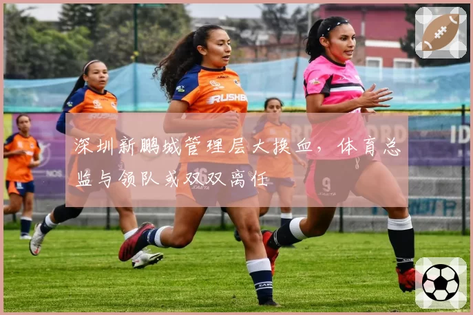 深圳新鹏城管理层大换血,体育总监与领队或双双离任