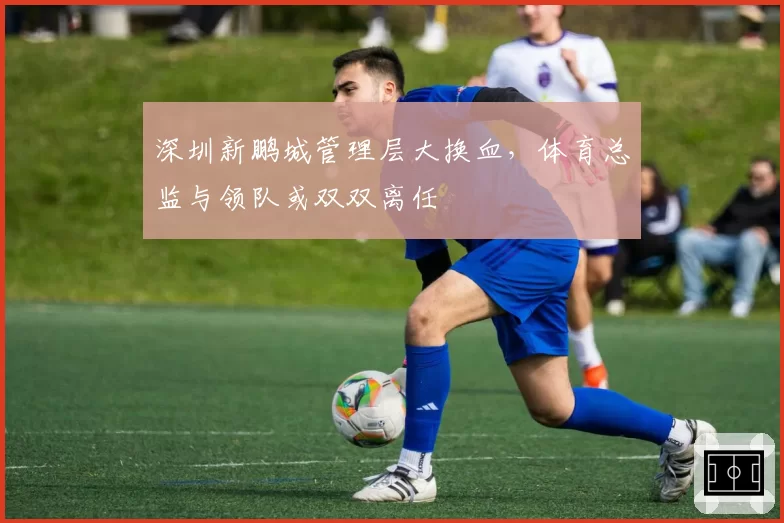 深圳新鹏城管理层大换血,体育总监与领队或双双离任