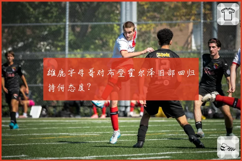 雄鹿字母哥对布登霍尔泽旧部回归持何态度？