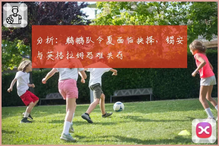 分析：鹈鹕队今夏面临抉择，锡安与英格拉姆恐难共存