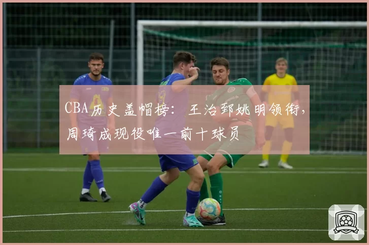 CBA历史盖帽榜：王治郅姚明领衔，周琦成现役唯一前十球员