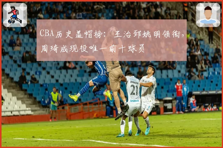 CBA历史盖帽榜：王治郅姚明领衔，周琦成现役唯一前十球员