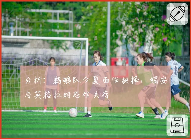 分析：鹈鹕队今夏面临抉择，锡安与英格拉姆恐难共存